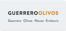INT - Guerrero Olivos